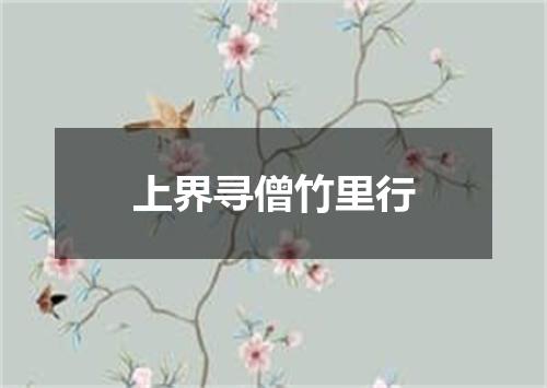 上界寻僧竹里行
