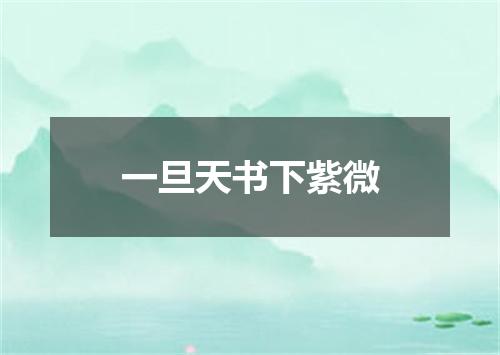 一旦天书下紫微