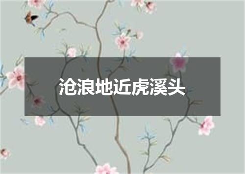 沧浪地近虎溪头