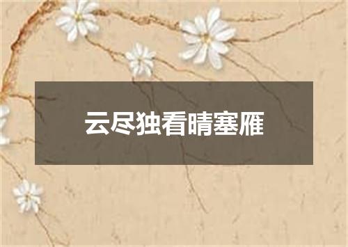 云尽独看晴塞雁