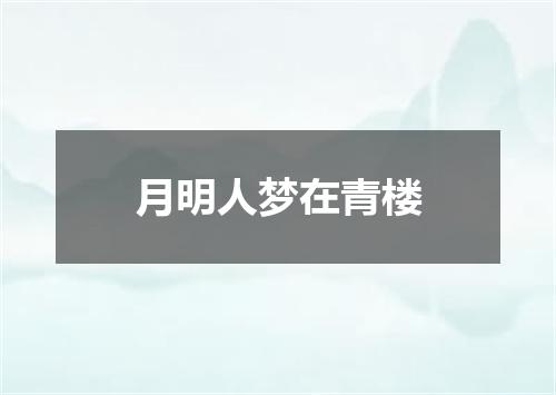 月明人梦在青楼