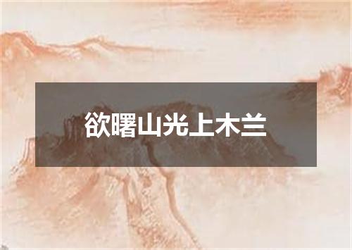 欲曙山光上木兰