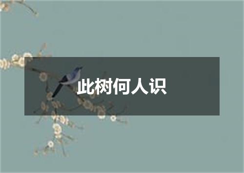 此树何人识