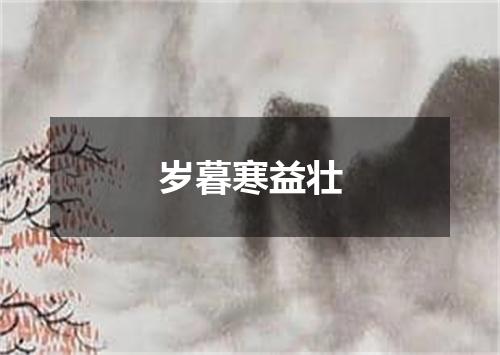 岁暮寒益壮