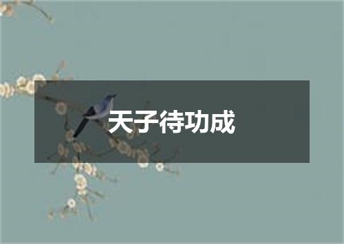 天子待功成