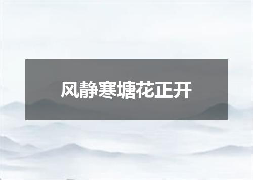 风静寒塘花正开