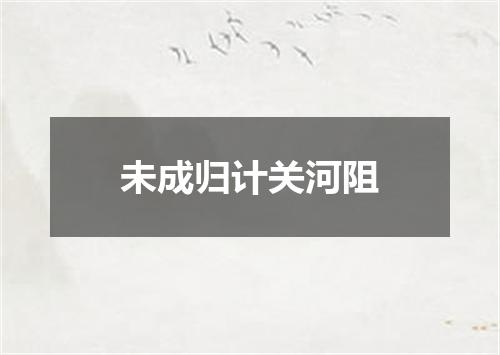 未成归计关河阻