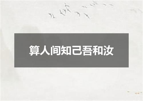 算人间知己吾和汝