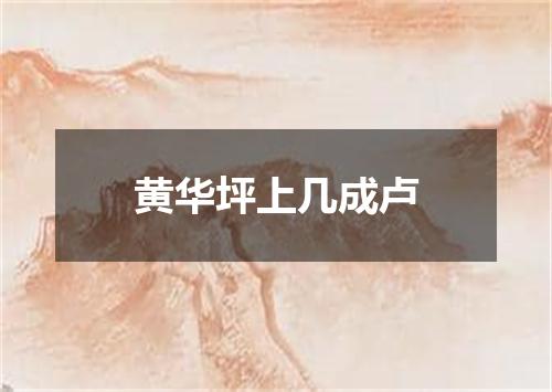 黄华坪上几成卢