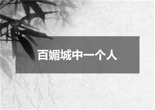 百媚城中一个人