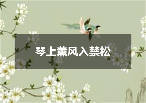 琴上薰风入禁松