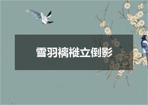 雪羽褵褷立倒影