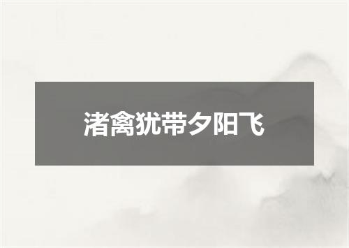 渚禽犹带夕阳飞