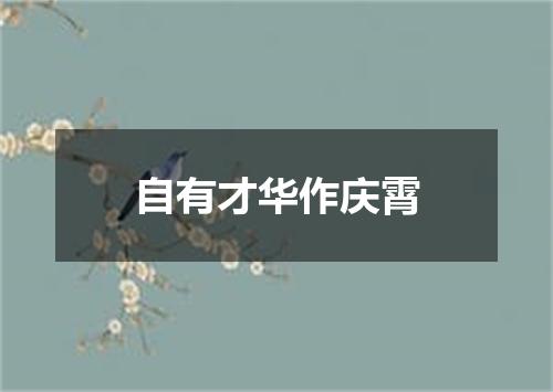 自有才华作庆霄