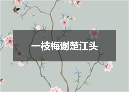 一枝梅谢楚江头
