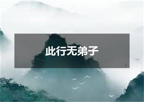 此行无弟子