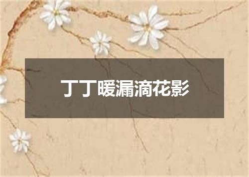 丁丁暖漏滴花影
