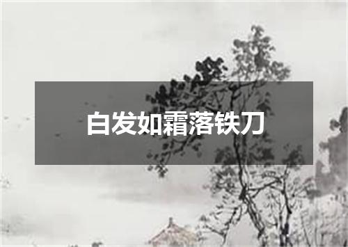 白发如霜落铁刀