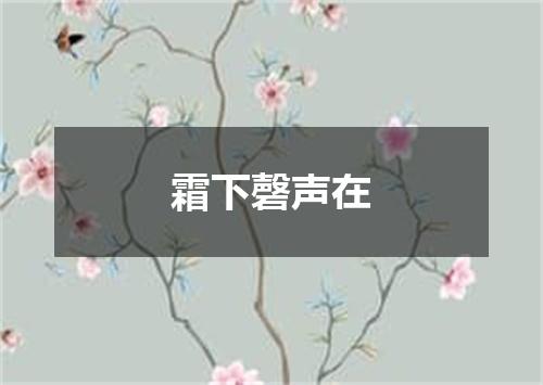 霜下磬声在