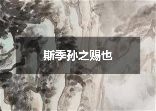 斯季孙之赐也