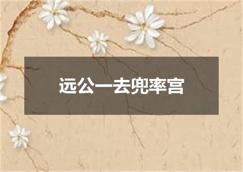 远公一去兜率宫