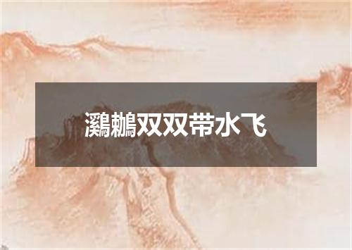 鸂鶒双双带水飞