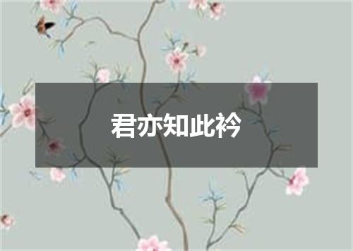 君亦知此衿