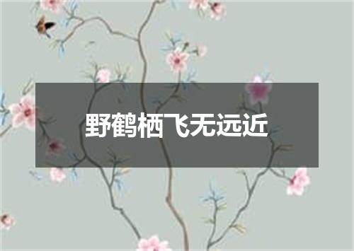 野鹤栖飞无远近