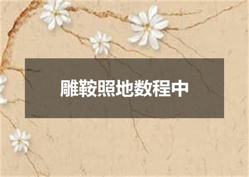 雕鞍照地数程中