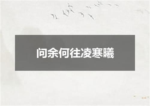 问余何往凌寒曦