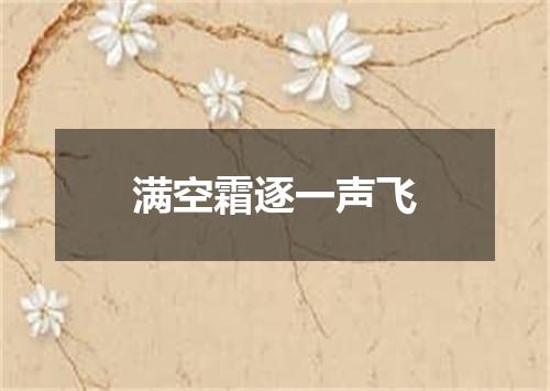 满空霜逐一声飞