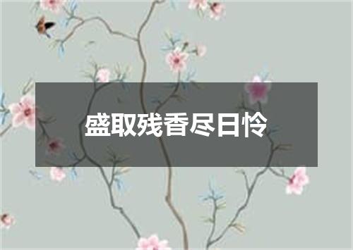 盛取残香尽日怜
