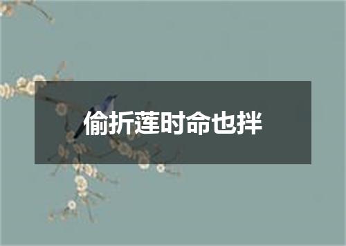 偷折莲时命也拌