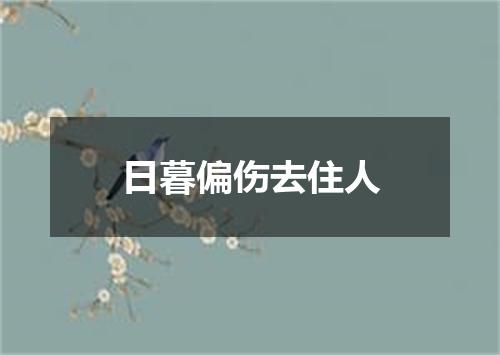 日暮偏伤去住人