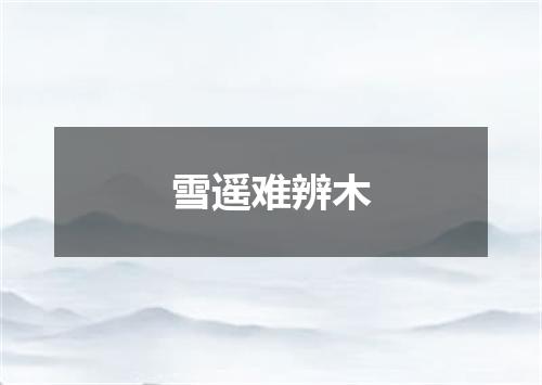 雪遥难辨木