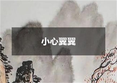 小心翼翼