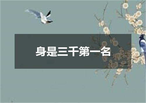 身是三千第一名