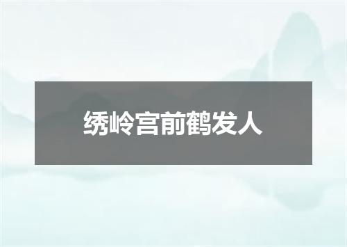绣岭宫前鹤发人