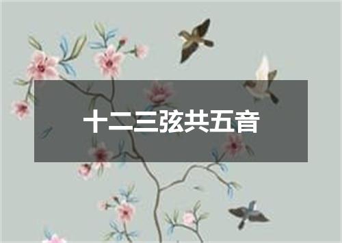 十二三弦共五音