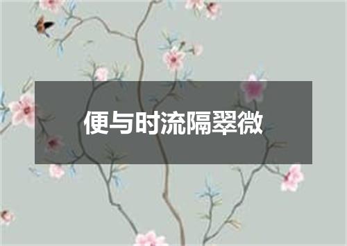 便与时流隔翠微
