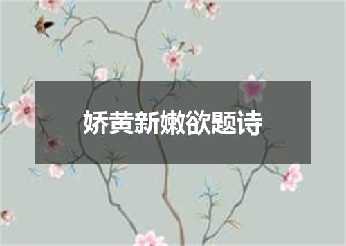 娇黄新嫩欲题诗