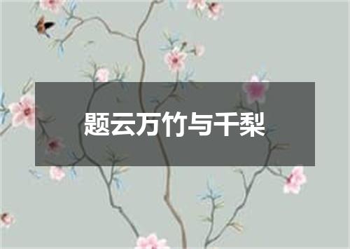 题云万竹与千梨