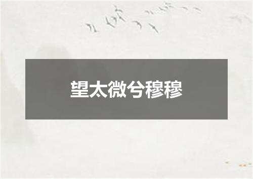 望太微兮穆穆