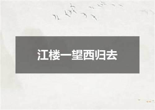 江楼一望西归去
