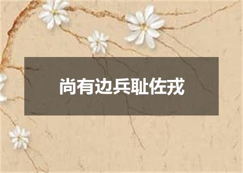 尚有边兵耻佐戎