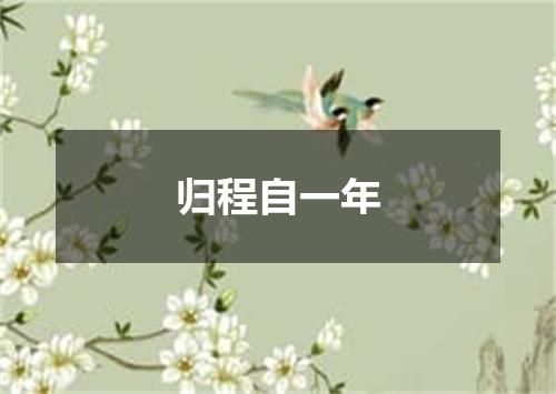 归程自一年