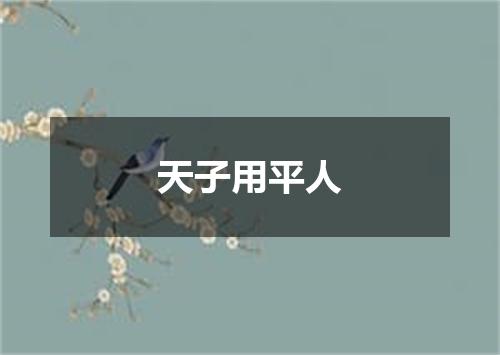 天子用平人