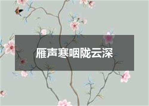 雁声寒咽陇云深