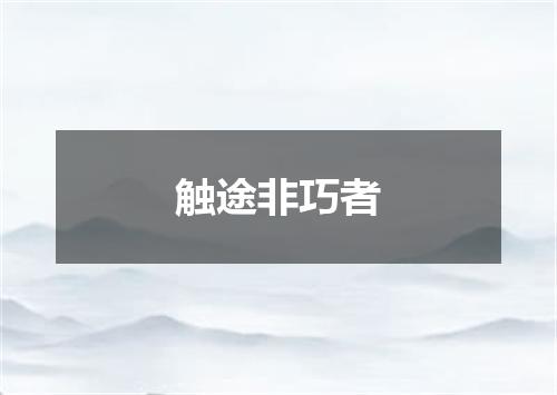 触途非巧者
