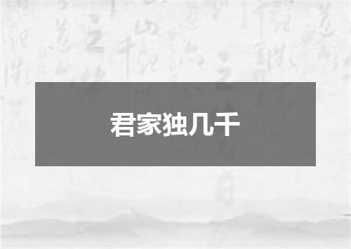 君家独几千